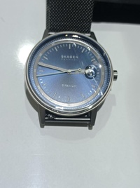 Skagen Titanium Watch